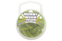 Load image into Gallery viewer, MUMMY WORMS