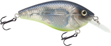 Load image into Gallery viewer, Rick Clunn Primetyme CB 1.5 by Livingsting lures