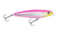 Load image into Gallery viewer, Bagley Topwater Baits