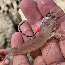 Load image into Gallery viewer, Shrimp Walker Rigging System