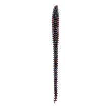 Load image into Gallery viewer, 6th Sense Worms