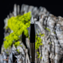 Load image into Gallery viewer, Beast Practice tips 100grain