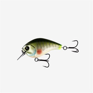 SCAMP 1.5 SQUARE BILL CRANKBAIT