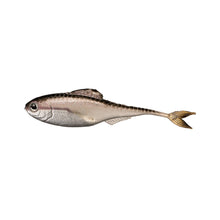 Load image into Gallery viewer, Fiction Shad by 6 th Sense