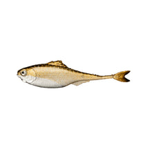 Load image into Gallery viewer, Fiction Shad by 6 th Sense