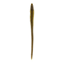 Load image into Gallery viewer, 6th Sense Worms