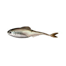 Load image into Gallery viewer, Fiction Shad by 6 th Sense