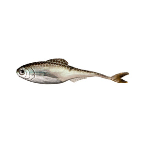 Fiction Shad by 6 th Sense