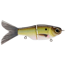 Load image into Gallery viewer, Spro / KGB Lil' Guy 120
