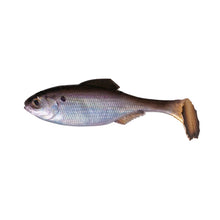 Load image into Gallery viewer, Panorama Swim Baits Unrigged by 6th Sense