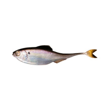 Load image into Gallery viewer, Fiction Shad by 6 th Sense