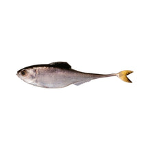 Load image into Gallery viewer, Fiction Shad by 6 th Sense
