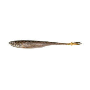 Strobe Minnow by 6th Sense