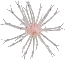 Load image into Gallery viewer, POP-A-WEB