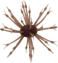 Load image into Gallery viewer, POP-A-WEB