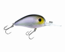 Load image into Gallery viewer, RAD Crankbait