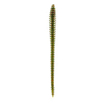 Load image into Gallery viewer, 6th Sense Worms