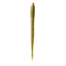 Load image into Gallery viewer, 6th Sense Worms