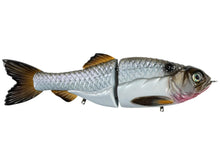 Load image into Gallery viewer, Artisan Glide and Gill Bait by Synch Fishing