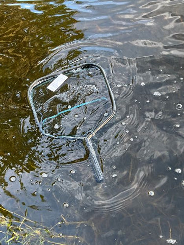 Joy Fish Floating Landing Net