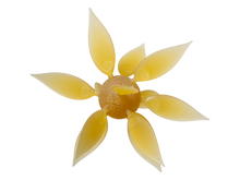 Load image into Gallery viewer, Hideup Coike Fish Gill