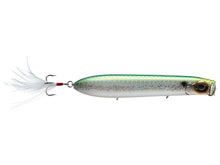 Load image into Gallery viewer, EVERGREEN SB TOPWATER  105 or 125