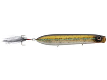 Load image into Gallery viewer, EVERGREEN SB TOPWATER  105 or 125