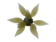 Load image into Gallery viewer, Hideup Coike Fish Gill